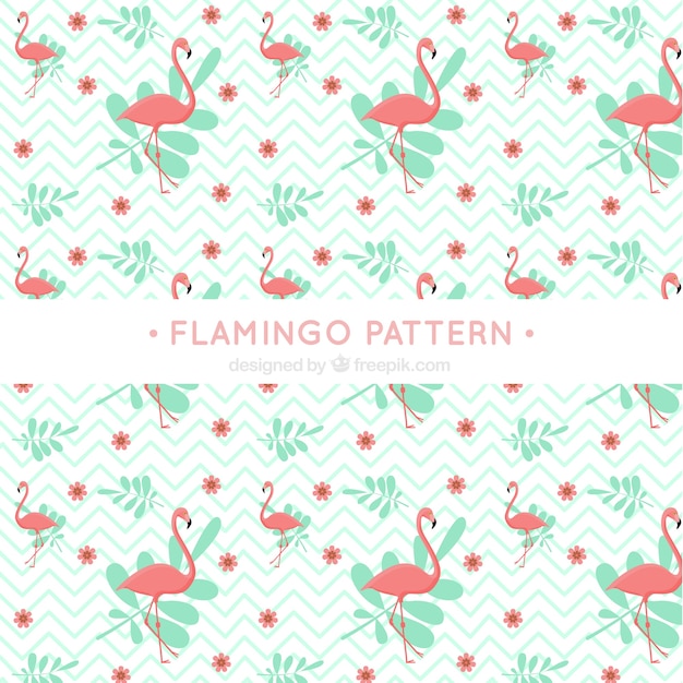 Flamenco summer pattern