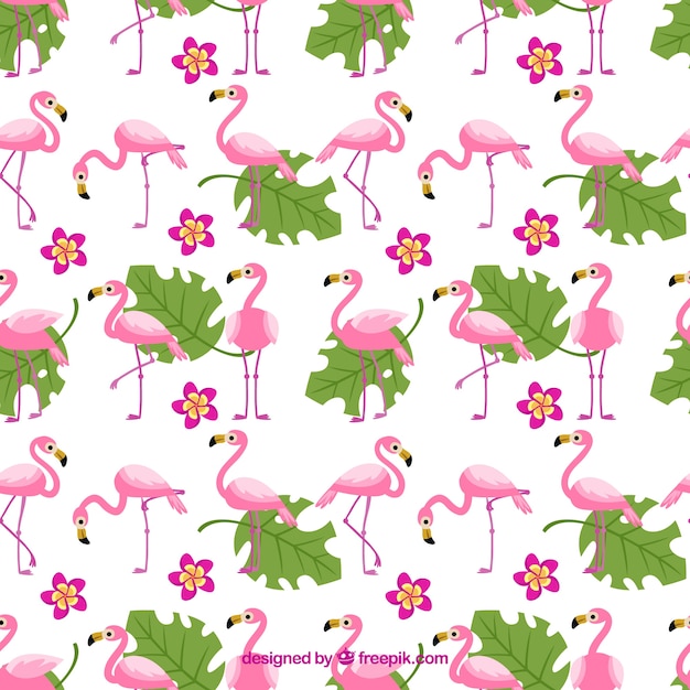 Free vector flamenco summer pattern