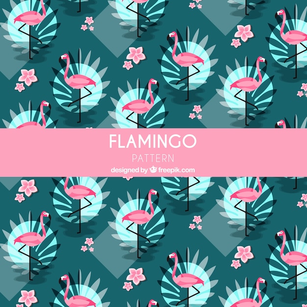 Flamenco summer pattern