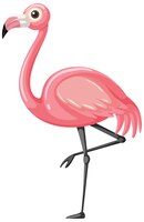Flamingo in cartoon style isolated on white