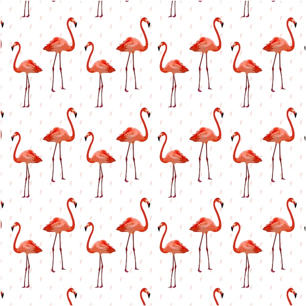 Flamingo pattern background