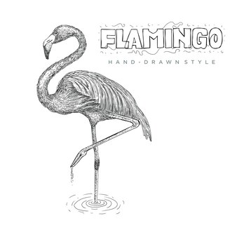 フラミンゴ鳥イラストデザイン プレミアムベクター フラミンゴ鳥イラストデザイン プレミアムベクター