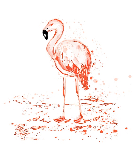 Фламинго акварель вектор тропическая птица с цветами всплеск