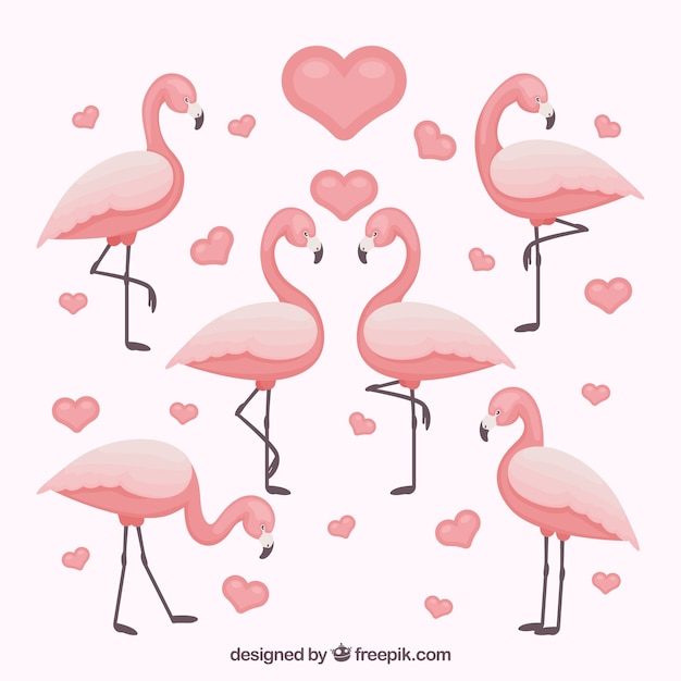 Коллекция фламинго с разными позами в плоском стиле