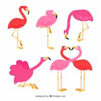 Free vector flamingos collection with different postures in flat style