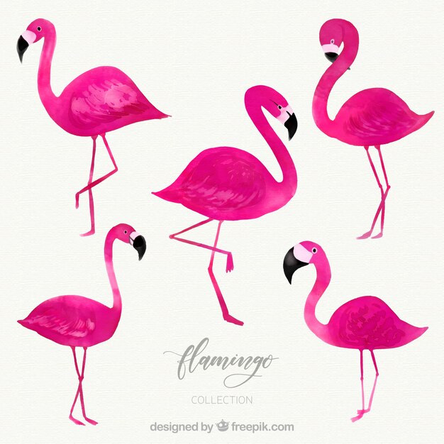 Flamingos collection with different postures in watercolor style