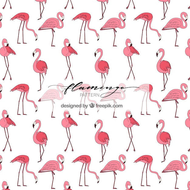 Flamingos pattern in hand drawn style