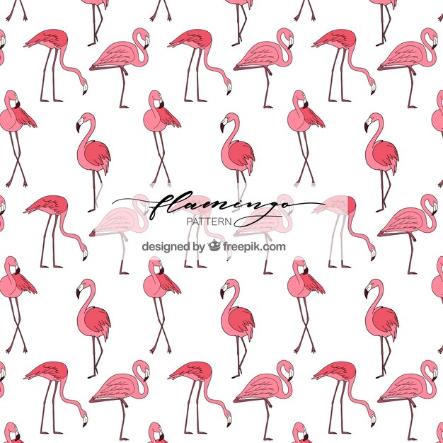 Flamingos pattern in hand drawn style