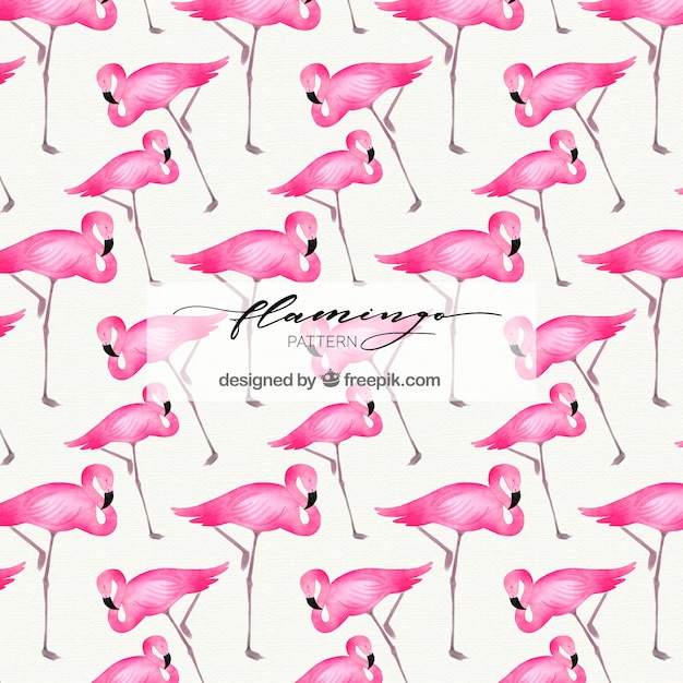 Flamingos pattern in watercolor style