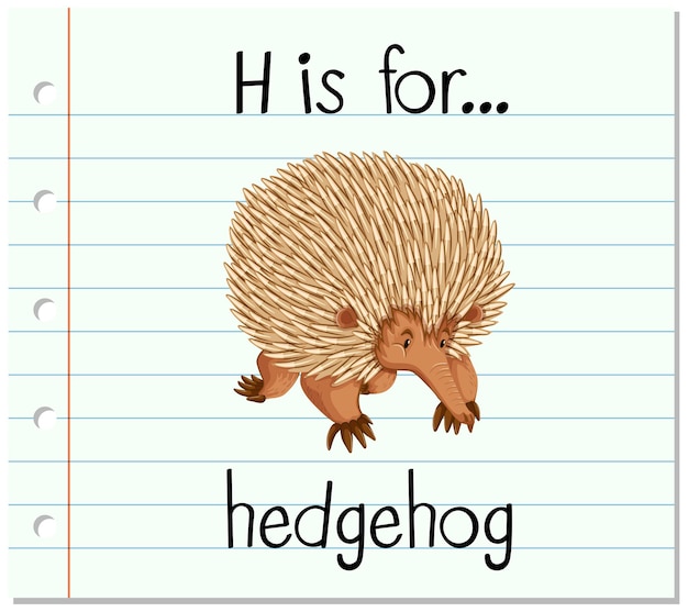 Flashcard letter H is for hedgehog