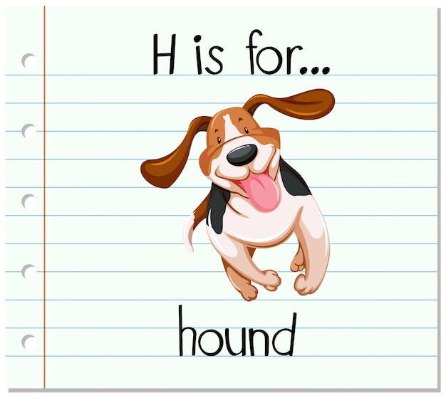 Flashcard letter h is for hound