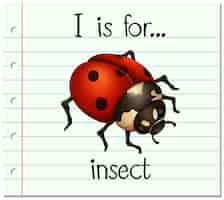 Vettore gratuito la lettera i di flashcard è per l'insetto