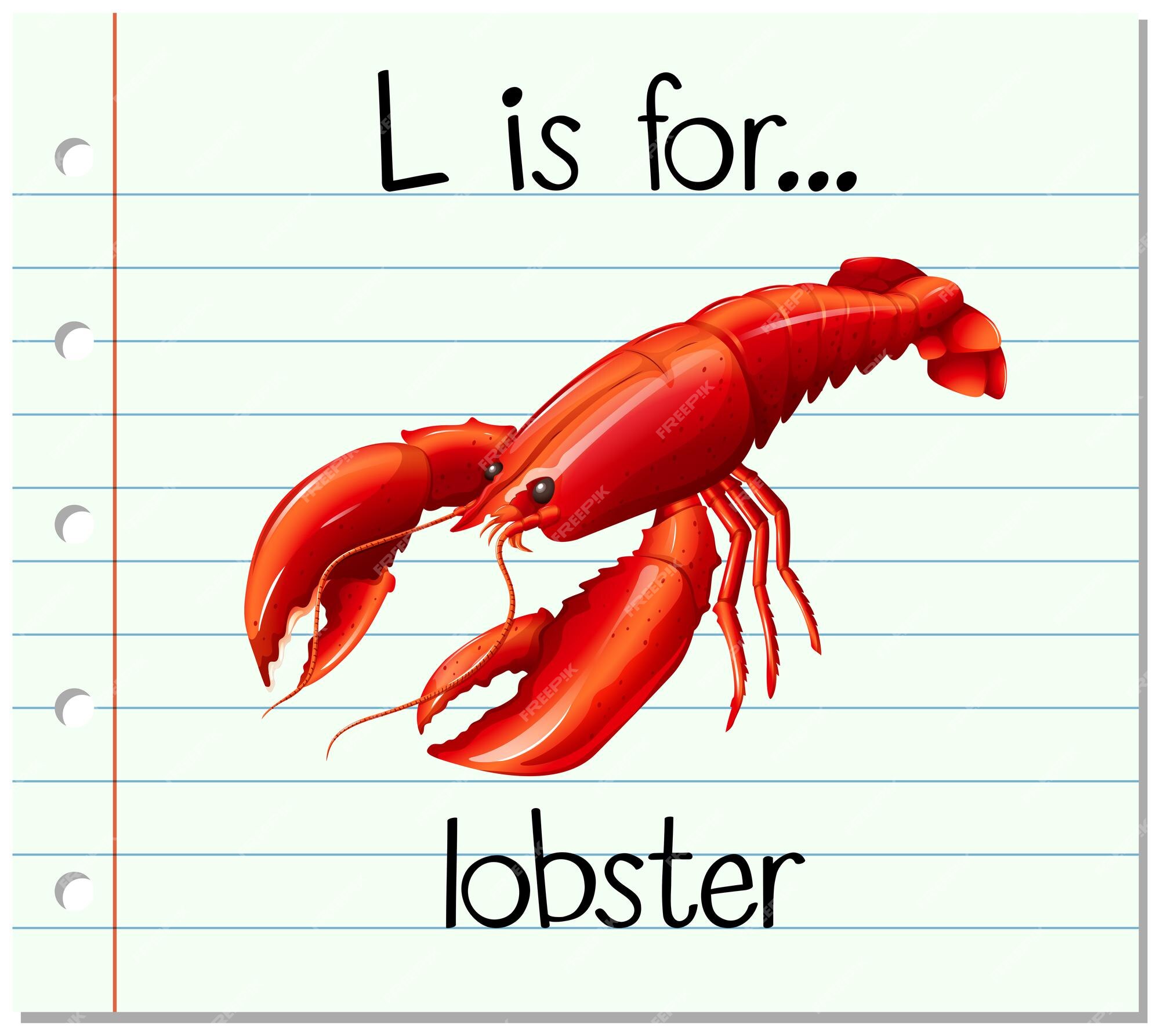 Lobster のベクトルとイラストを無料でダウンロード Freepik