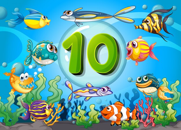 10 물고기 수중 플래시 카드 번호 10