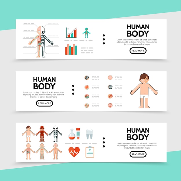 Flat anatomy horizontal banners