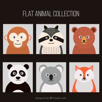 Flat animal collection