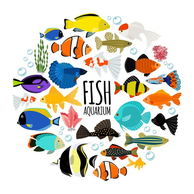flat aquarium fishes round concept with colorful saltwater and freshwater fishes water bubbles corals isolated