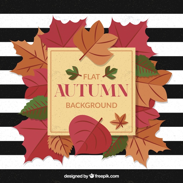 Autunno piano autunnale con foglie e strisce