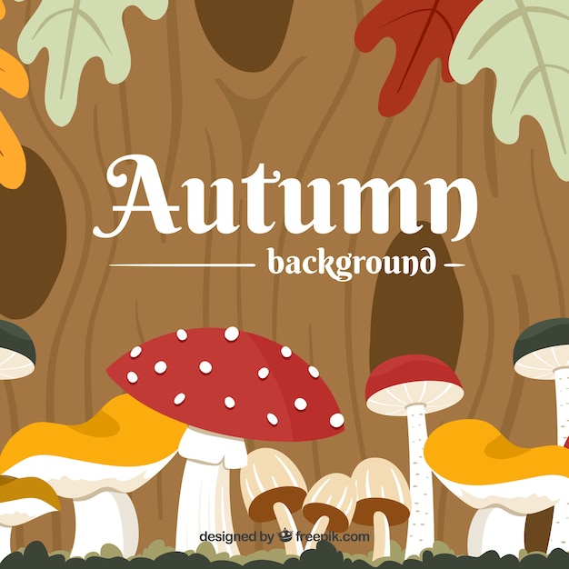 Flat autumn background with mushrooms