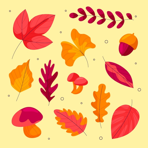 Free vector flat autumn celebration elements collection