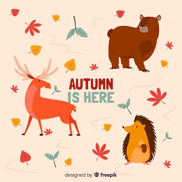 Collezione di animali foresta autunnale piatta