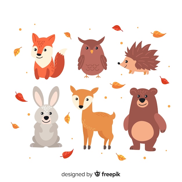 Collezione di animali foresta autunnale piatta