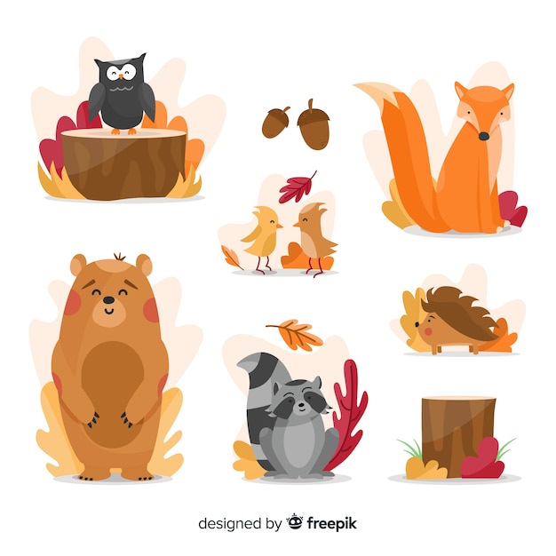 Flat autumn forest animals collection