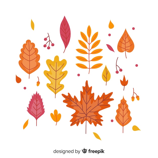 Flat autumn forest leaves collection