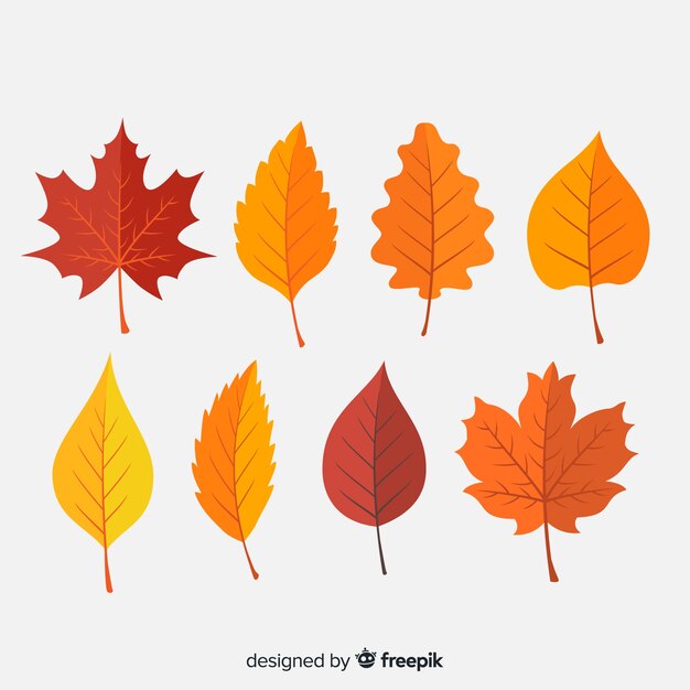 Flat autumn forest leaves collection