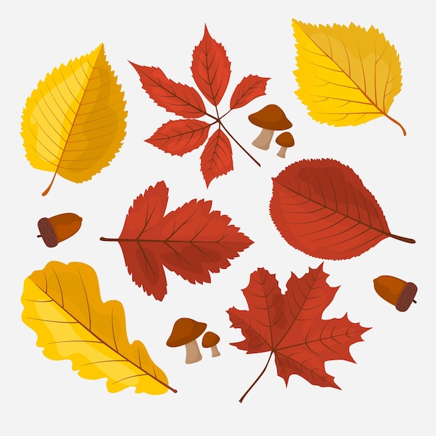 Free vector flat autumn leaves collection