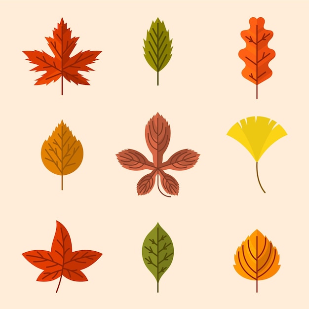Бесплатное векторное изображение Коллекция плоских осенних листьев