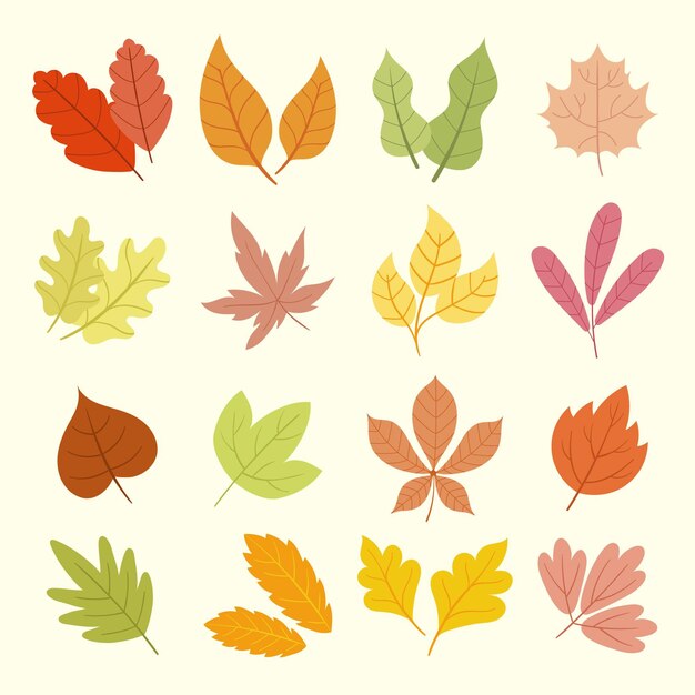 Flat autumn leaves collection