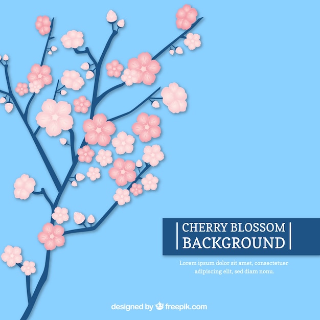 Flat background with sakura