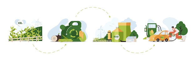 Flat biofuel life cycle with corn wood and sugarcane biomass