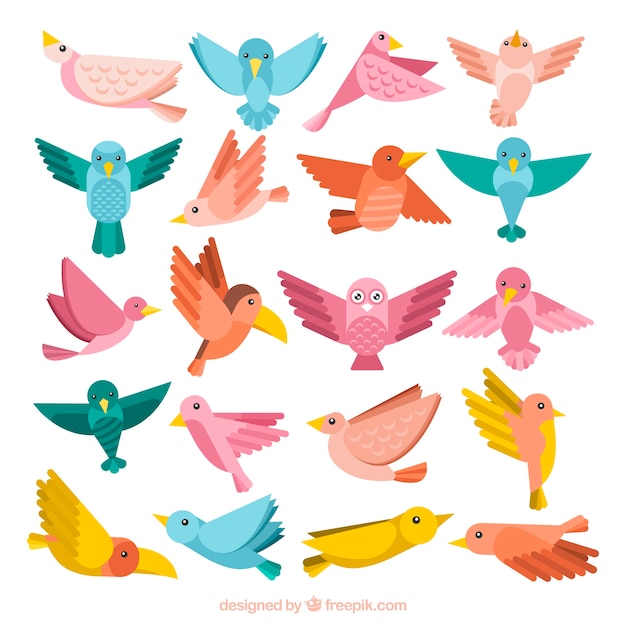 Free vector flat bird collection