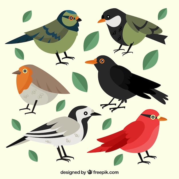 Free vector flat bird collection