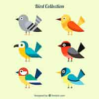 Free vector flat bird collection