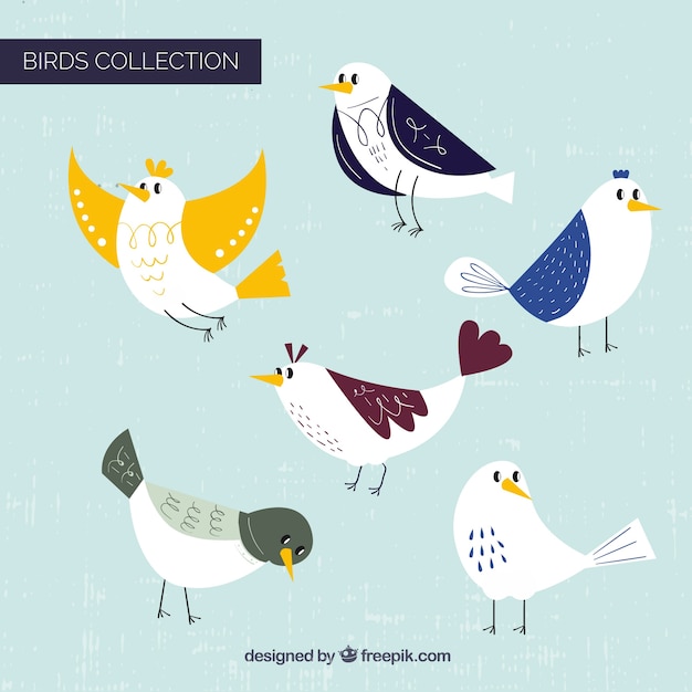 Free vector flat bird collection