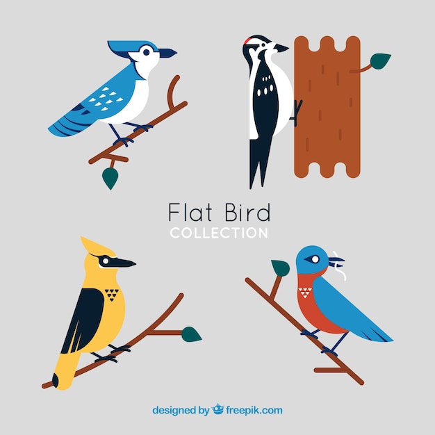 Бесплатное векторное изображение Коллекция плоских птиц