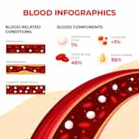 무료 벡터 편평한 혈액 infographic 템플릿