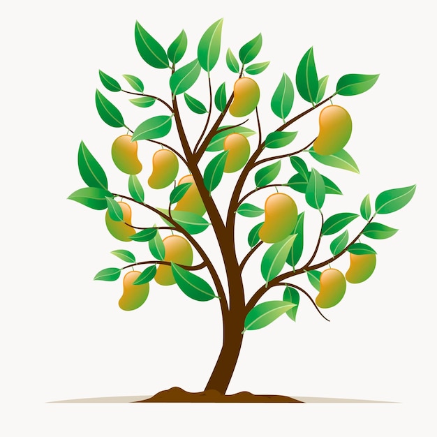 Плоская ботаническая иллюстрация дерева манго