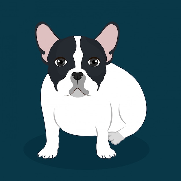 flat bulldog illustration