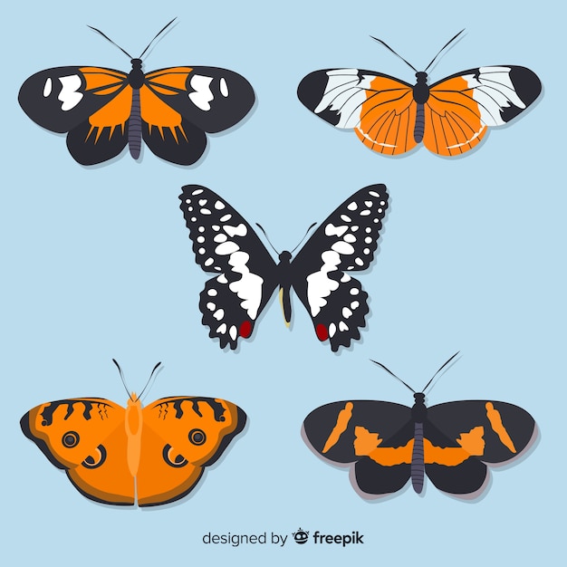 Бесплатное векторное изображение Коллекция плоских бабочек