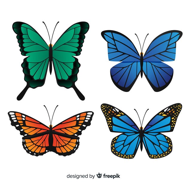 Коллекция плоских бабочек
