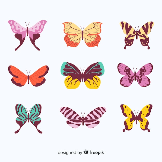 Flat butterfly collection