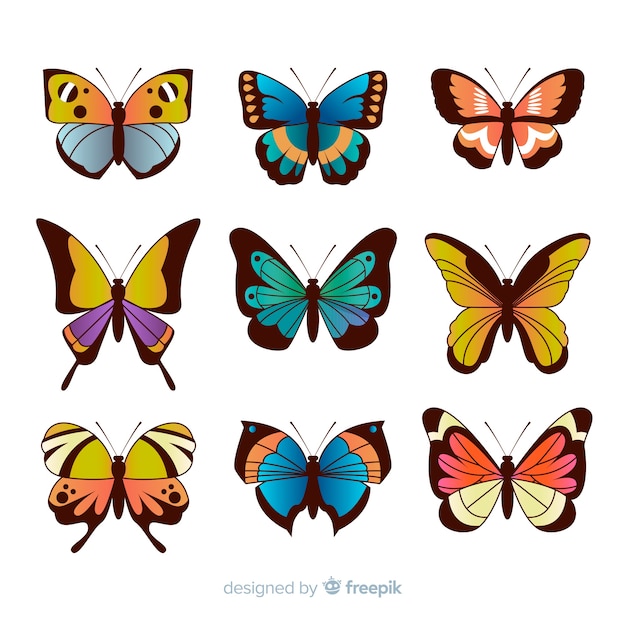 Flat butterfly collection