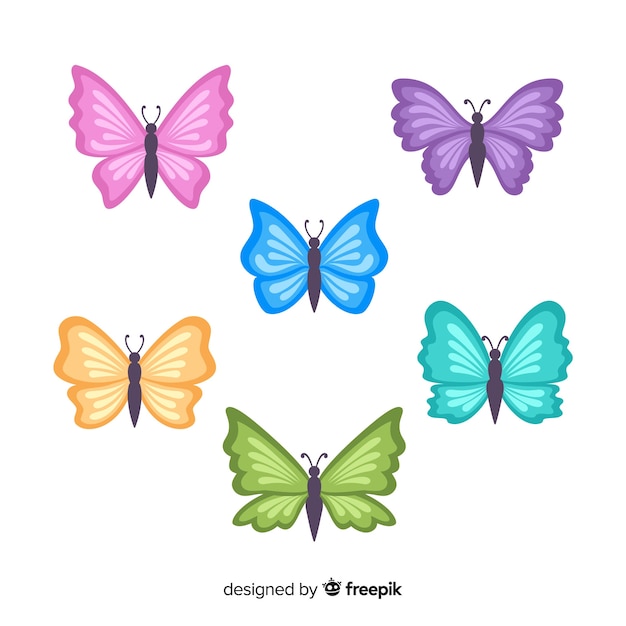 Flat butterfly collection