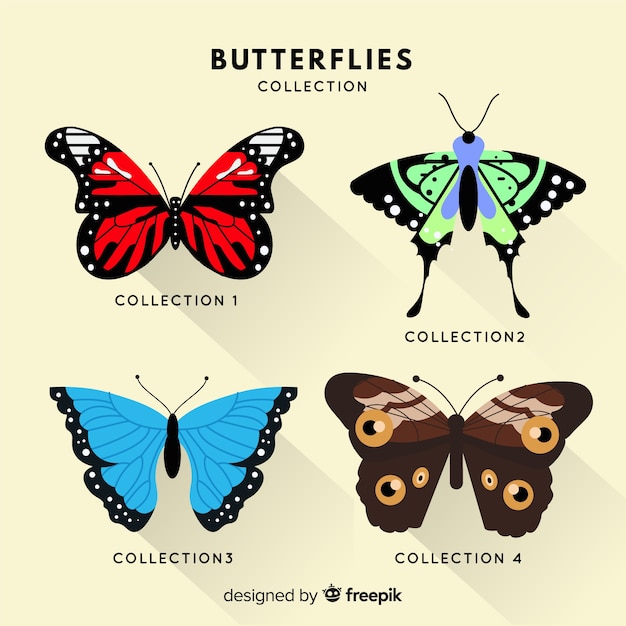 Flat butterfly collection