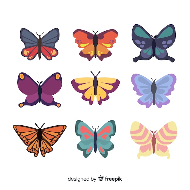 Плоская коллекция бабочек