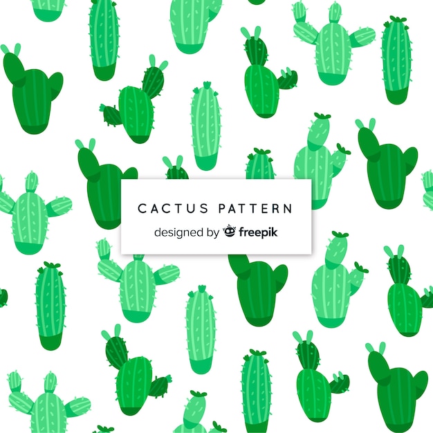 Modello di cactus piatto